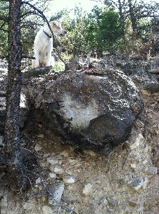 original mineral survey monument